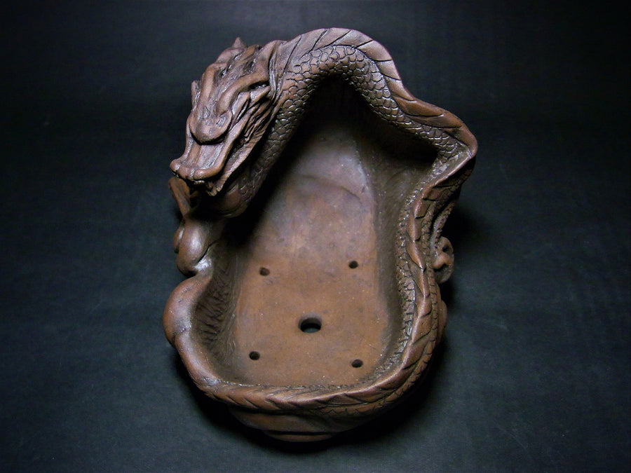 Dragon Container 4